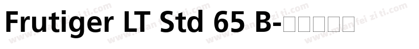 Frutiger LT Std 65 B字体转换